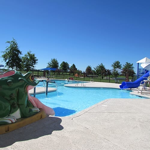 Aquatics Edwardsville YMCA