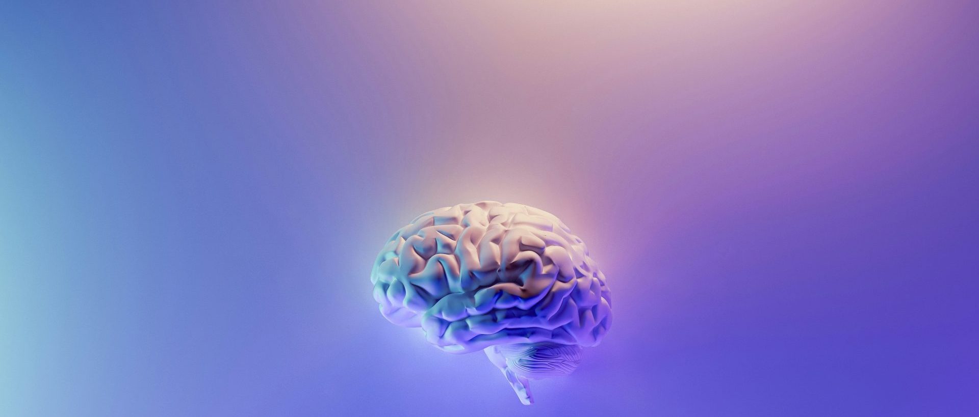 Introducing The Arts & Science of Meditation 2 milad fakurian 58Z17lnVS4U unsplash 1 scaled e1707926981983